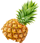 Fruit Image