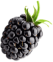 Fruit Image