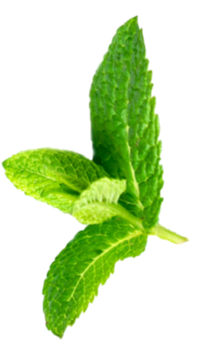 Fruit Image